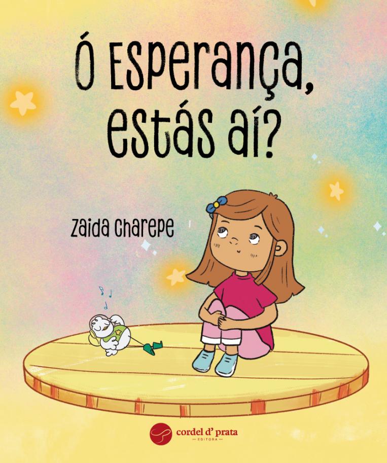 Capa Livro ZC